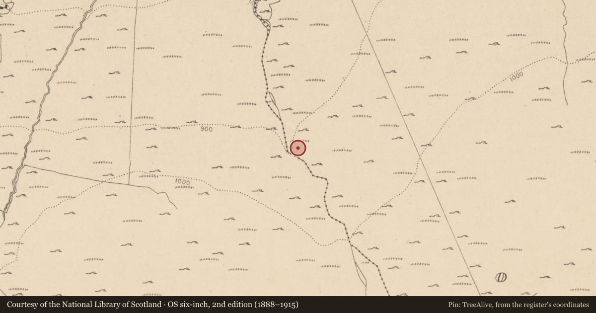 Ordnance Survey six-inch map, 2nd edition (1888–1915) covering the location of Booley hut, Oakwood, County Wicklow, with a pin at the register's coordinates
