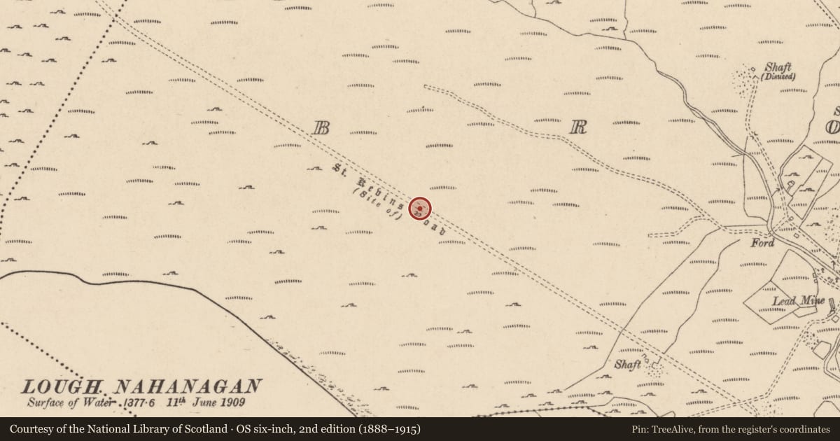 Ordnance Survey six-inch map, 2nd edition (1888–1915) covering the location of Road - road/trackway, Brockagh, Sevenchurches Or Camaderry, County Wicklow, with a pin at the register's coordinates