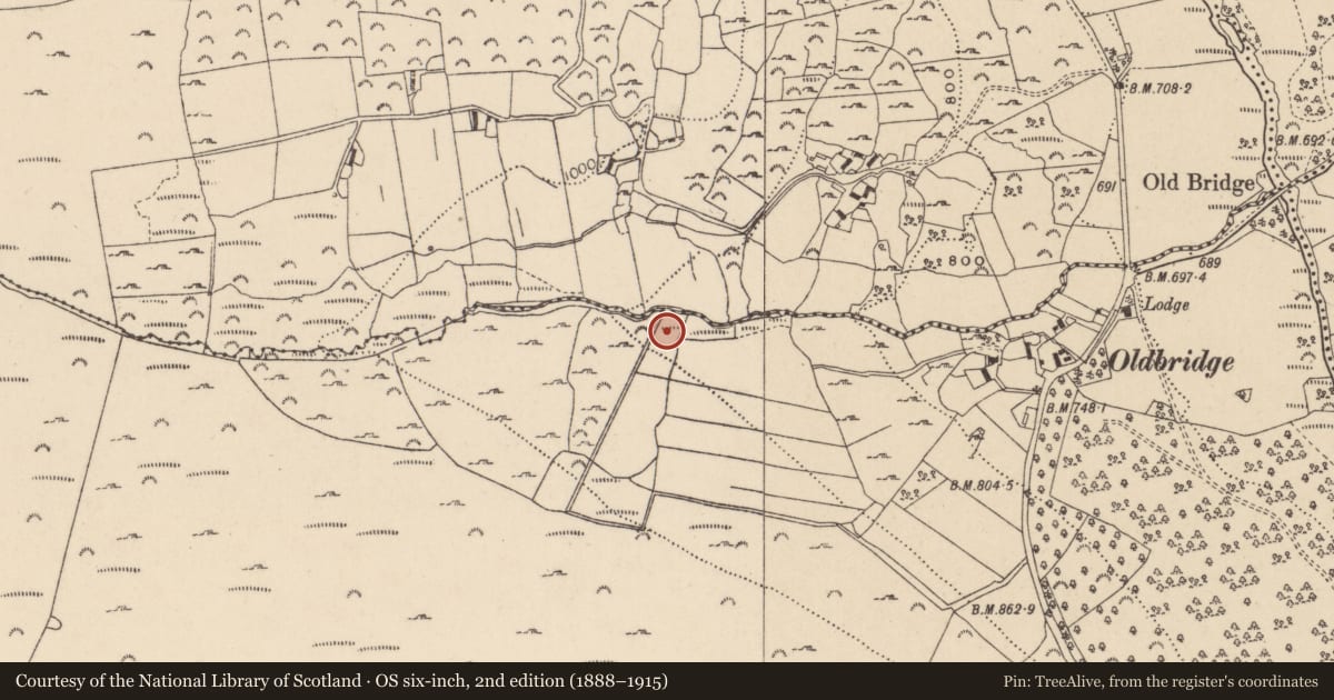 Ordnance Survey six-inch map, 2nd edition (1888–1915) covering the location of Rock art (present location), Drummin, County Wicklow, with a pin at the register's coordinates