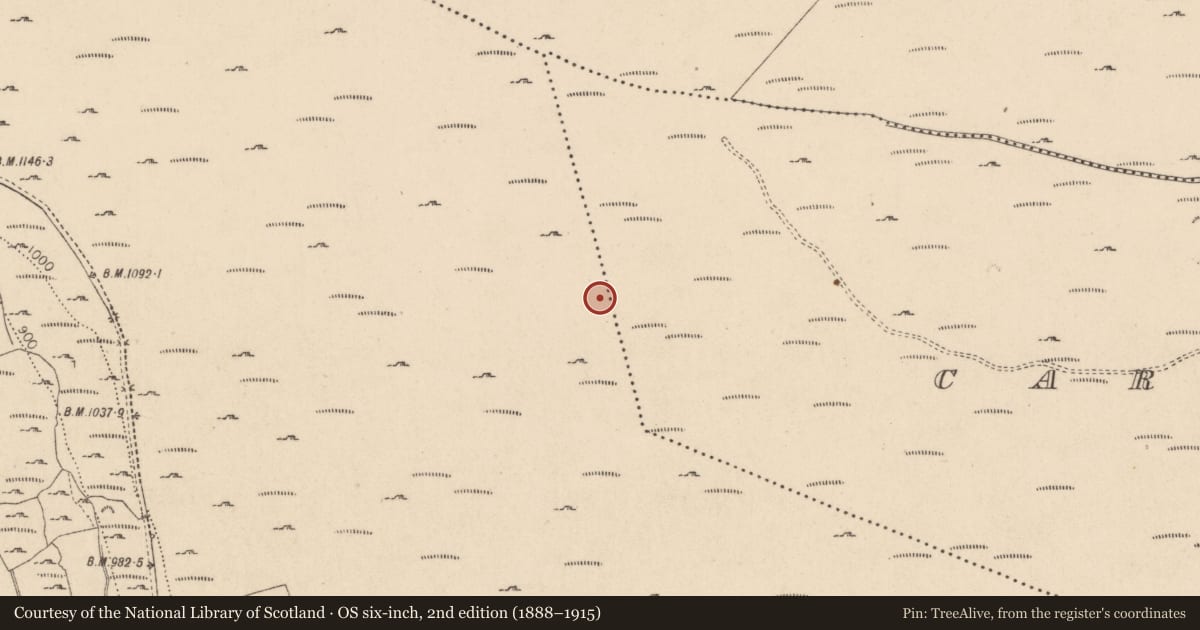 Ordnance Survey six-inch map, 2nd edition (1888–1915) covering the location of Standing stone, Drummin, County Wicklow, with a pin at the register's coordinates