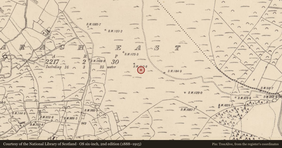 Ordnance Survey six-inch map, 2nd edition (1888–1915) covering the location of Standing stone - pair, Laragh East, County Wicklow, with a pin at the register's coordinates