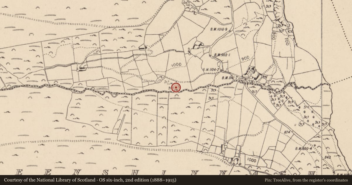 Ordnance Survey six-inch map, 2nd edition (1888–1915) covering the location of Bullaun stone, Carrigeenduff, County Wicklow, with a pin at the register's coordinates