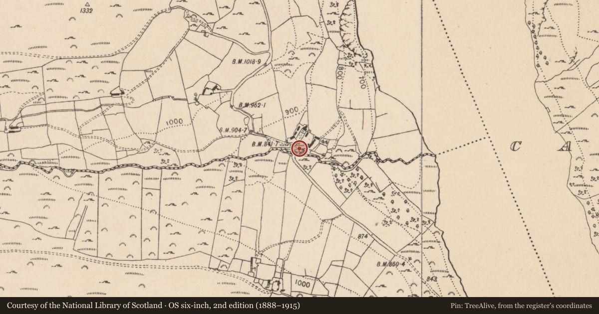 Ordnance Survey six-inch map, 2nd edition (1888–1915) covering the location of Rock art, Carrigeenduff, County Wicklow, with a pin at the register's coordinates