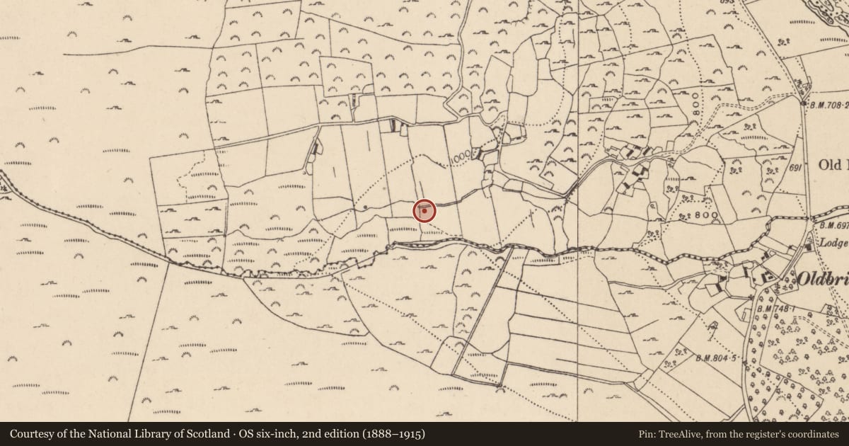 Ordnance Survey six-inch map, 2nd edition (1888–1915) covering the location of Bullaun stone, Carrigeenshinnagh, County Wicklow, with a pin at the register's coordinates