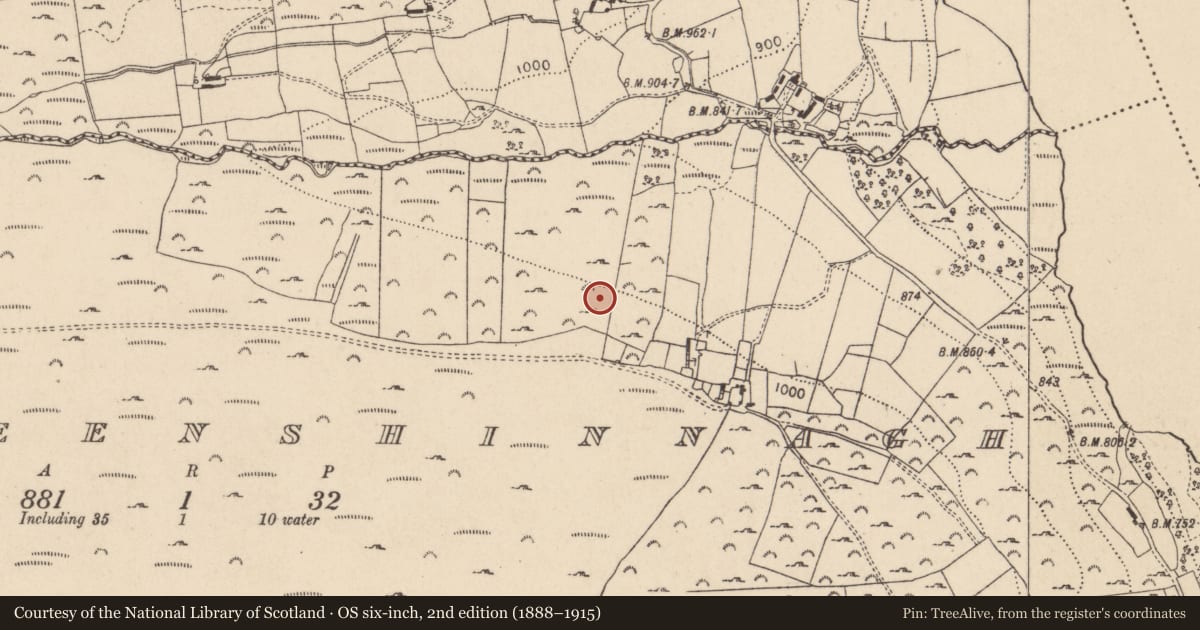 Ordnance Survey six-inch map, 2nd edition (1888–1915) covering the location of Rock art, Carrigeenshinnagh, County Wicklow, with a pin at the register's coordinates