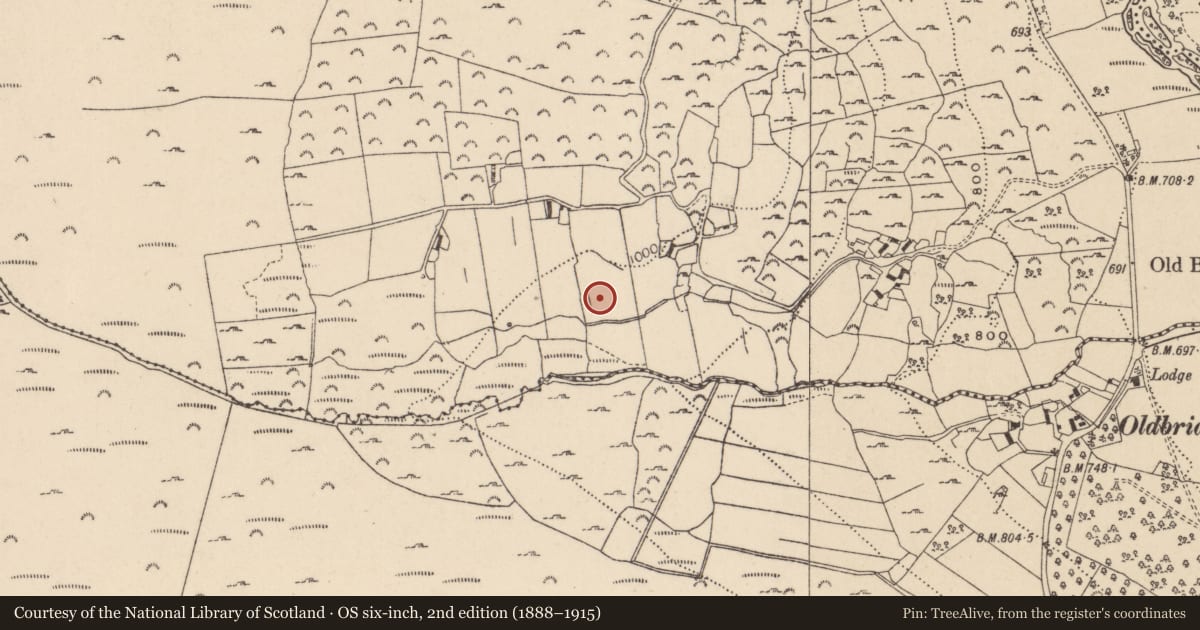 Ordnance Survey six-inch map, 2nd edition (1888–1915) covering the location of Rock art, Carrigeenshinnagh, County Wicklow, with a pin at the register's coordinates