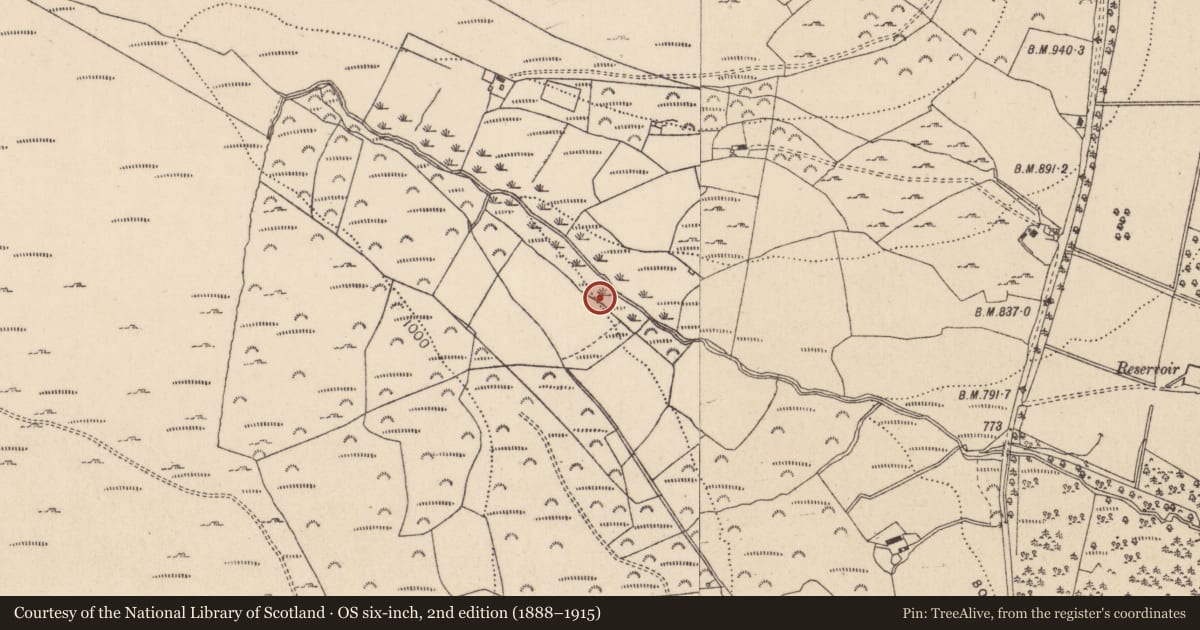 Ordnance Survey six-inch map, 2nd edition (1888–1915) covering the location of Bullaun stone, Drummin, County Wicklow, with a pin at the register's coordinates