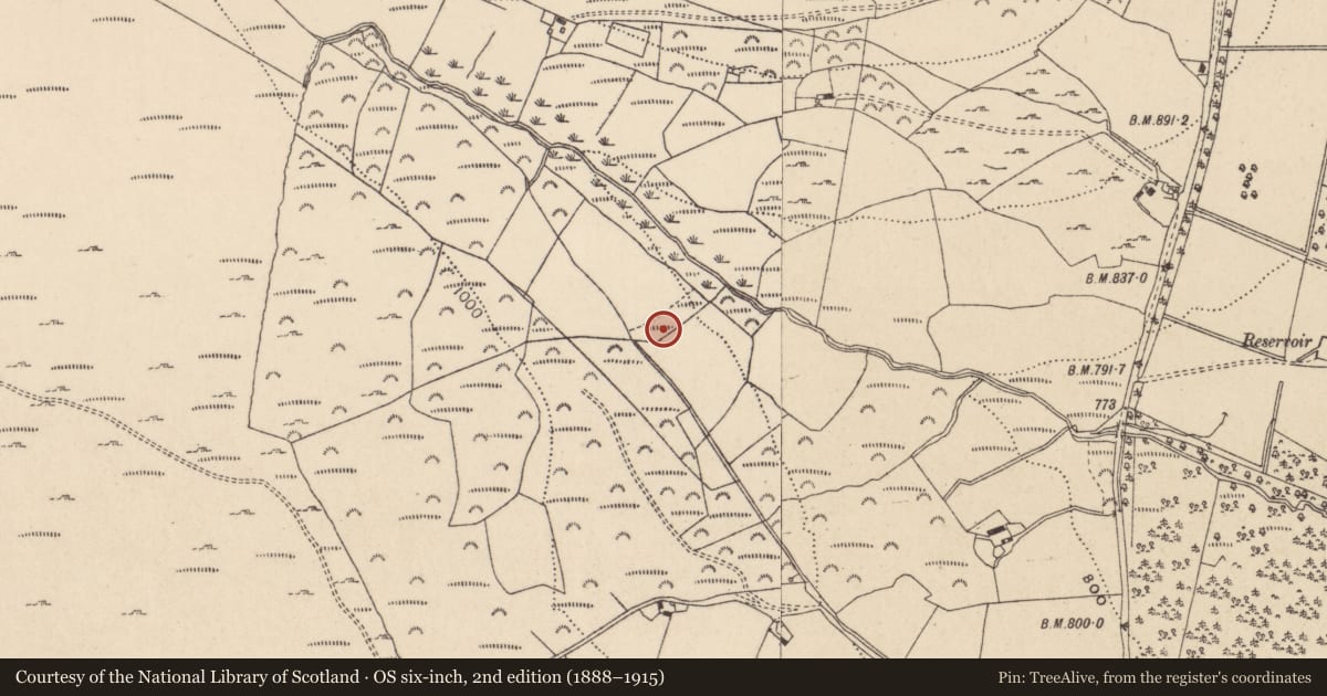 Ordnance Survey six-inch map, 2nd edition (1888–1915) covering the location of Bullaun stone, Drummin, County Wicklow, with a pin at the register's coordinates