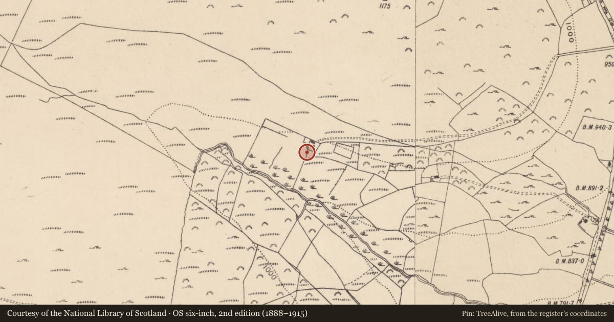 Ordnance Survey six-inch map, 2nd edition (1888–1915) covering the location of Rock art, Drummin, County Wicklow, with a pin at the register's coordinates