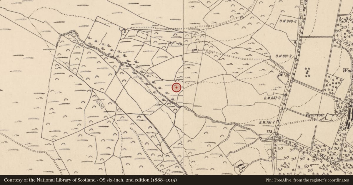 Ordnance Survey six-inch map, 2nd edition (1888–1915) covering the location of Rock art, Drummin, County Wicklow, with a pin at the register's coordinates