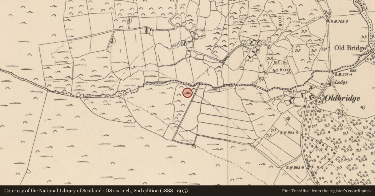 Ordnance Survey six-inch map, 2nd edition (1888–1915) covering the location of Rock art, Drummin, County Wicklow, with a pin at the register's coordinates