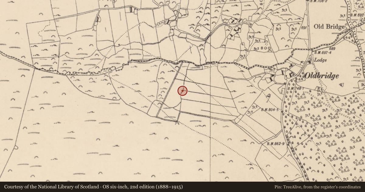 Ordnance Survey six-inch map, 2nd edition (1888–1915) covering the location of Rock art (present location), Drummin, County Wicklow, with a pin at the register's coordinates