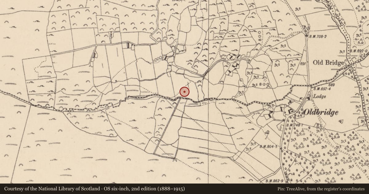 Ordnance Survey six-inch map, 2nd edition (1888–1915) covering the location of Rock art, Carrigeenshinnagh, County Wicklow, with a pin at the register's coordinates