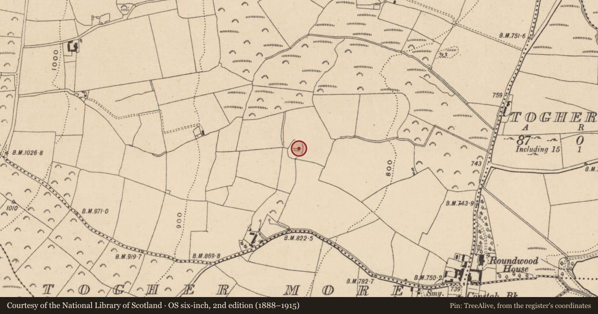 Ordnance Survey six-inch map, 2nd edition (1888–1915) covering the location of Font, Ashtown Or Ballinafunshoge, County Wicklow, with a pin at the register's coordinates