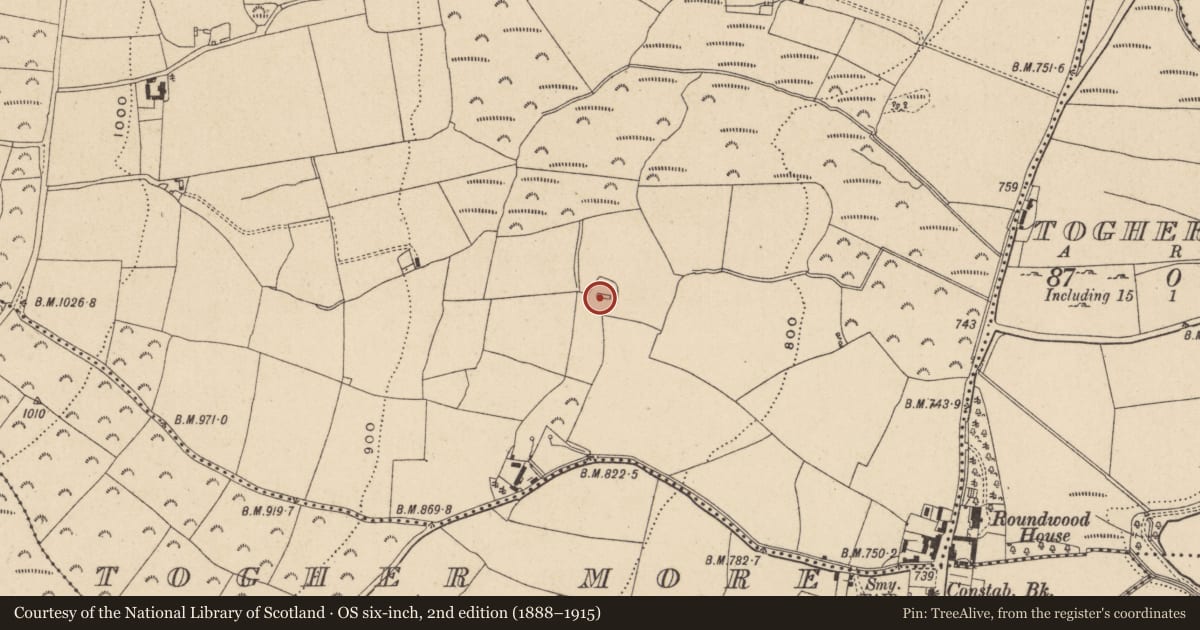 Ordnance Survey six-inch map, 2nd edition (1888–1915) covering the location of Bullaun stone, Ashtown Or Ballinafunshoge, County Wicklow, with a pin at the register's coordinates