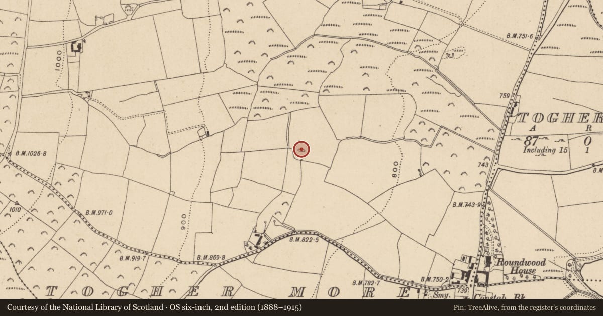 Ordnance Survey six-inch map, 2nd edition (1888–1915) covering the location of Bullaun stone, Ashtown Or Ballinafunshoge, County Wicklow, with a pin at the register's coordinates