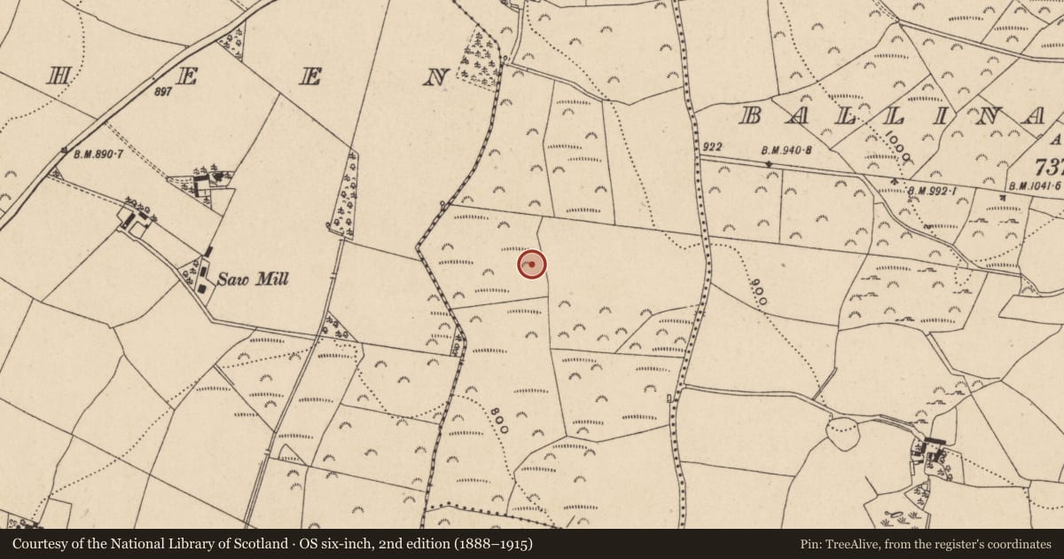 Ordnance Survey six-inch map, 2nd edition (1888–1915) covering the location of Enclosure, Ballinahinch, County Wicklow, with a pin at the register's coordinates