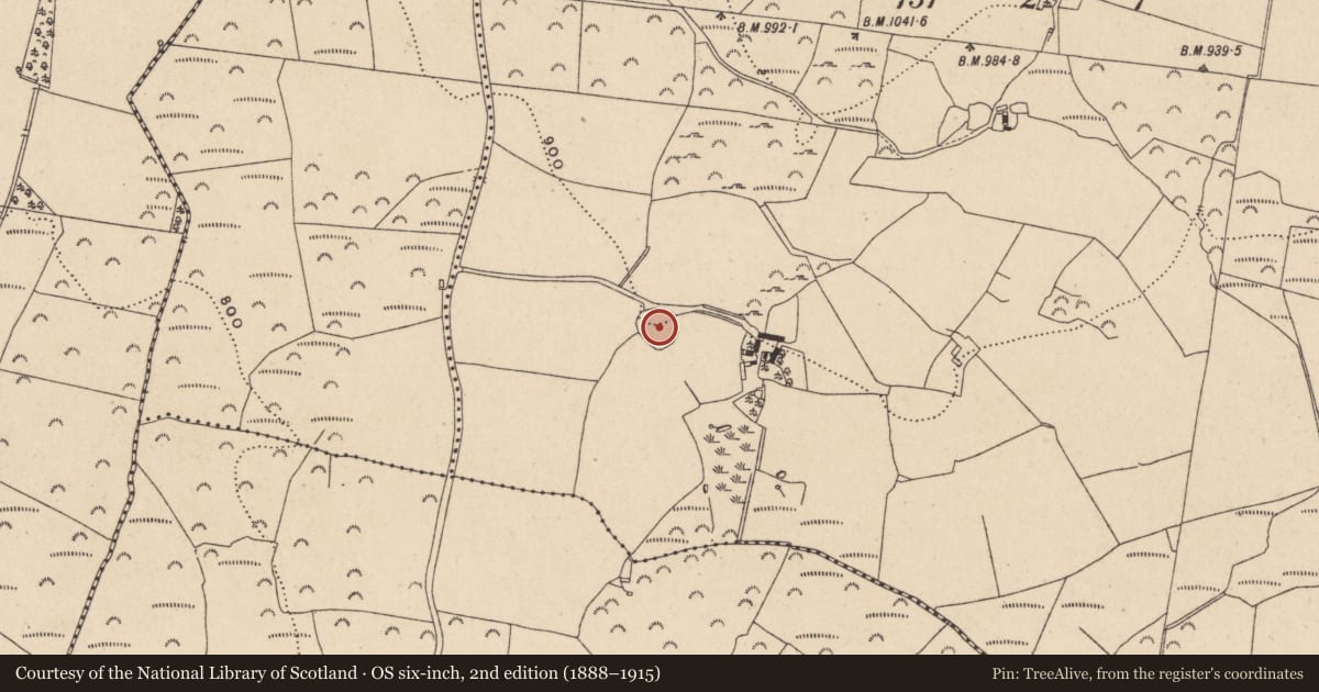 Ordnance Survey six-inch map, 2nd edition (1888–1915) covering the location of Ringfort - rath, Ballinahinch Upper, County Wicklow, with a pin at the register's coordinates