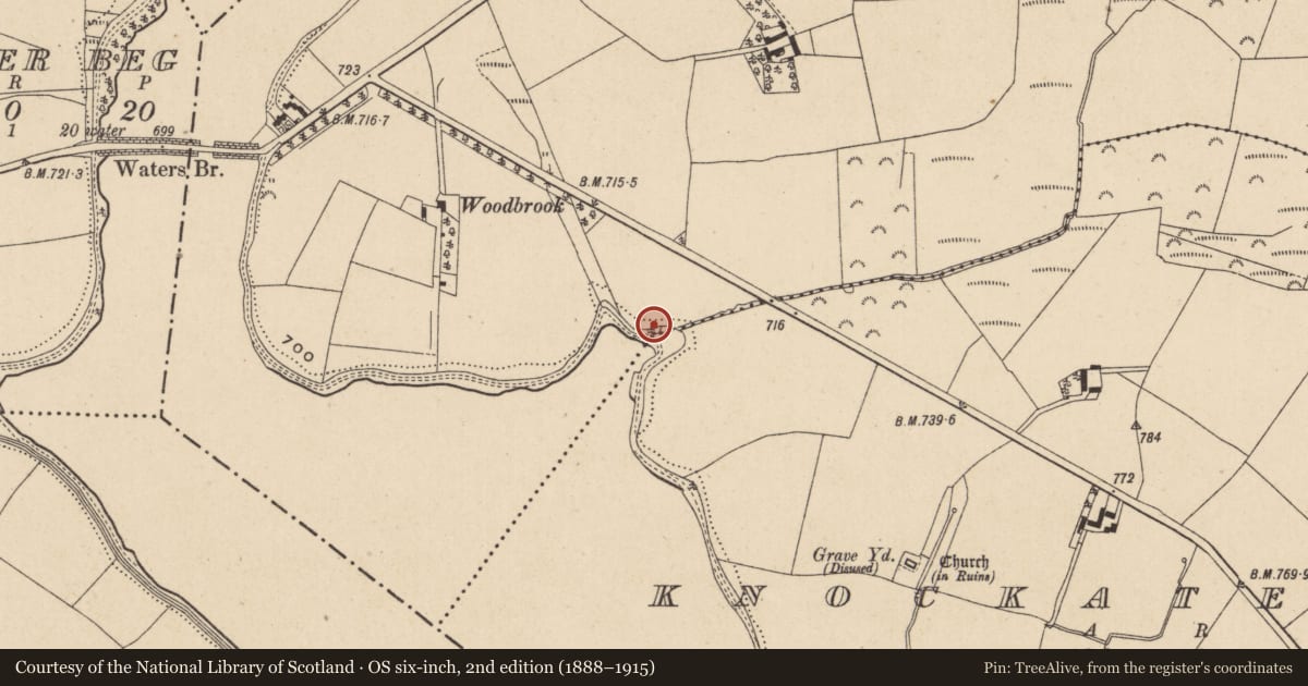 Ordnance Survey six-inch map, 2nd edition (1888–1915) covering the location of Enclosure, Knockraheen, County Wicklow, with a pin at the register's coordinates
