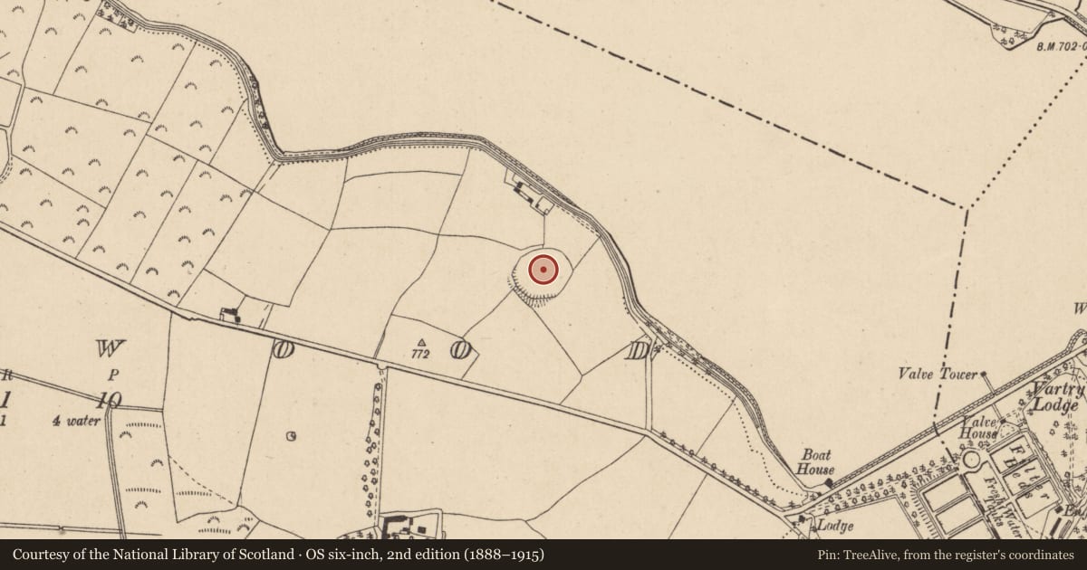 Ordnance Survey six-inch map, 2nd edition (1888–1915) covering the location of Enclosure, Roundwood, County Wicklow, with a pin at the register's coordinates