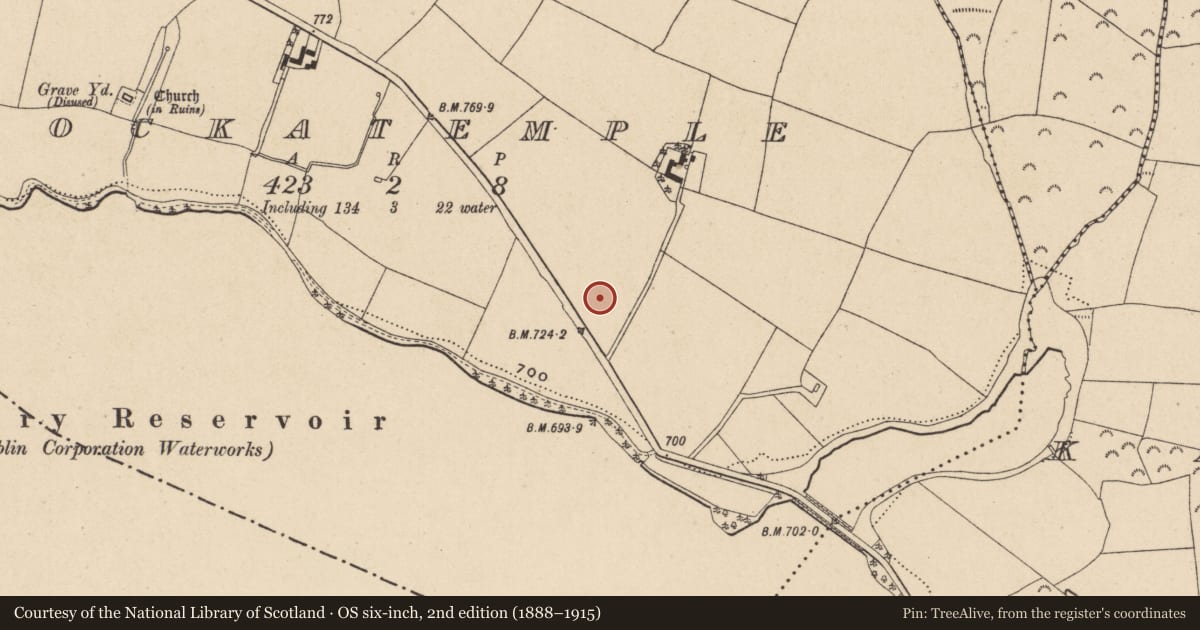 Ordnance Survey six-inch map, 2nd edition (1888–1915) covering the location of Enclosure, Knockatemple, County Wicklow, with a pin at the register's coordinates