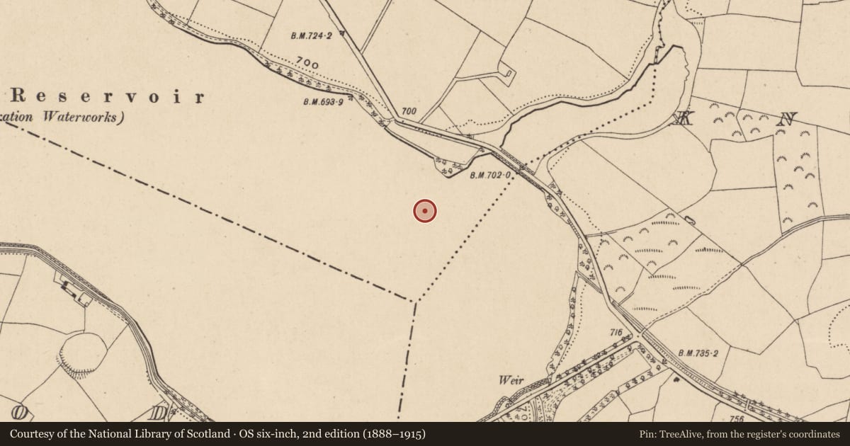 Ordnance Survey six-inch map, 2nd edition (1888–1915) covering the location of Enclosure, Knockatemple, County Wicklow, with a pin at the register's coordinates