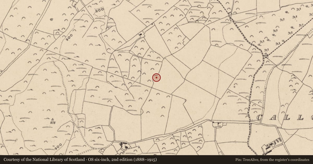Ordnance Survey six-inch map, 2nd edition (1888–1915) covering the location of Enclosure, Knockfadda, County Wicklow, with a pin at the register's coordinates