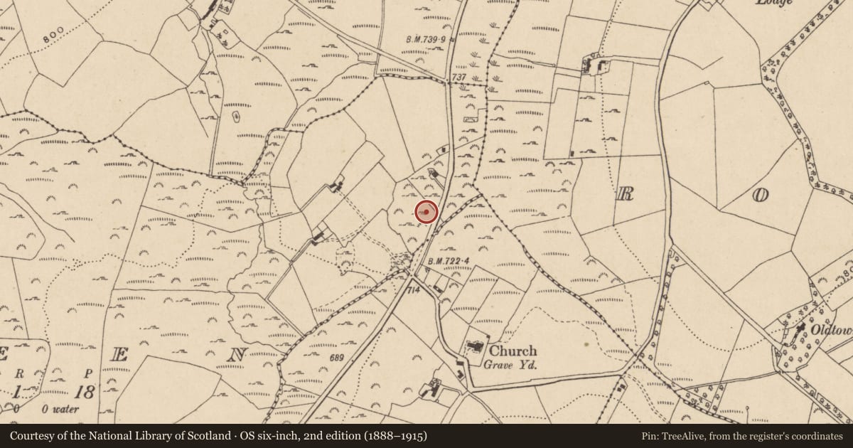 Ordnance Survey six-inch map, 2nd edition (1888–1915) covering the location of Bullaun stone, Raheen, County Wicklow, with a pin at the register's coordinates