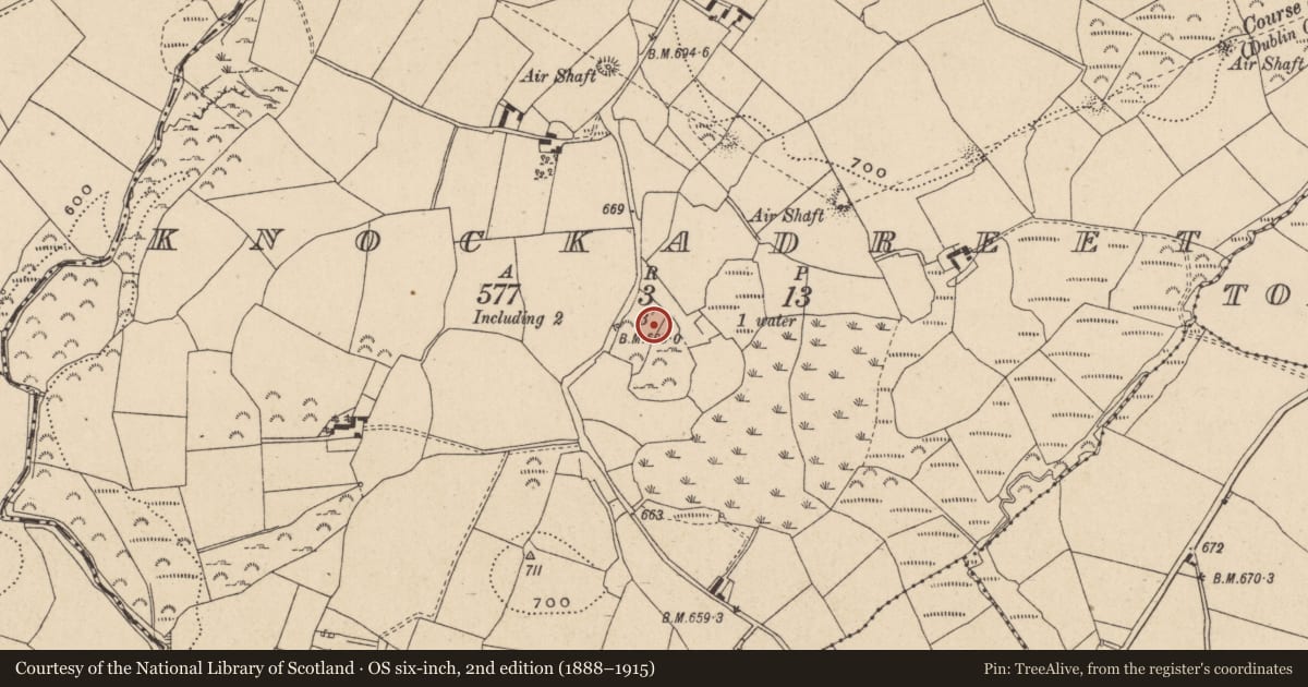 Ordnance Survey six-inch map, 2nd edition (1888–1915) covering the location of Enclosure, Knockadreet, County Wicklow, with a pin at the register's coordinates