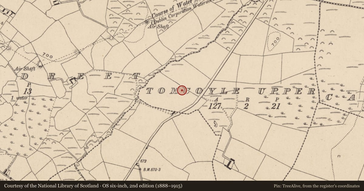 Ordnance Survey six-inch map, 2nd edition (1888–1915) covering the location of Enclosure, Tomcoyle Upper, County Wicklow, with a pin at the register's coordinates