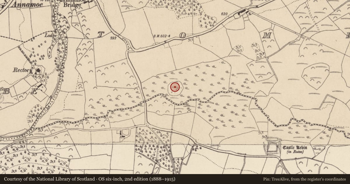 Ordnance Survey six-inch map, 2nd edition (1888–1915) covering the location of Enclosure, Tomriland, County Wicklow, with a pin at the register's coordinates