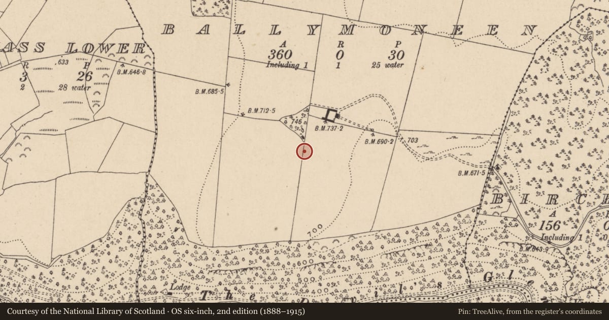 Ordnance Survey six-inch map, 2nd edition (1888–1915) covering the location of Enclosure, Ballymoneen, County Wicklow, with a pin at the register's coordinates