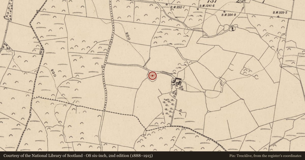 Ordnance Survey six-inch map, 2nd edition (1888–1915) covering the location of Bullaun stone, Ballinahinch Upper, County Wicklow, with a pin at the register's coordinates