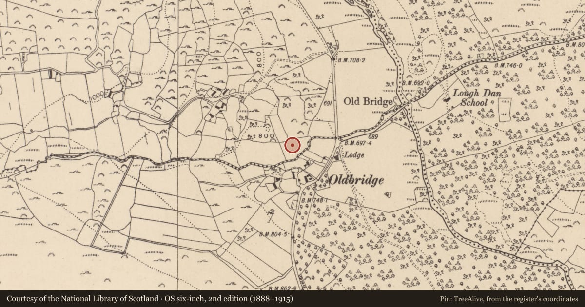 Ordnance Survey six-inch map, 2nd edition (1888–1915) covering the location of Cairn - unclassified, Carrigeenshinnagh, County Wicklow, with a pin at the register's coordinates