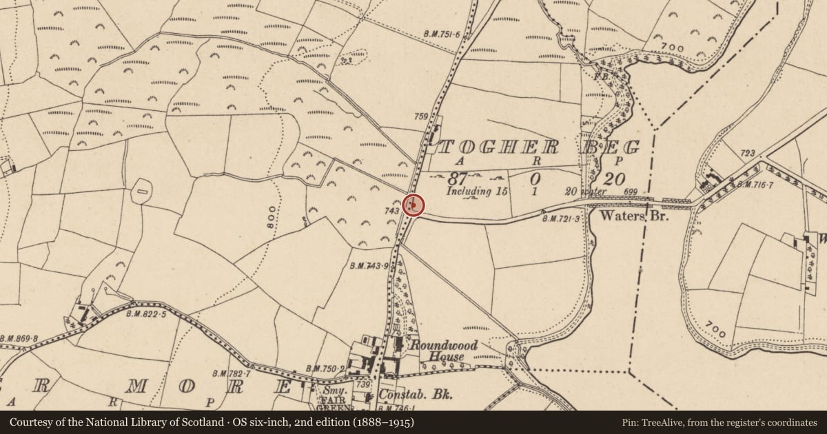 Ordnance Survey six-inch map, 2nd edition (1888–1915) covering the location of Bullaun stone (present location), Togher Beg, County Wicklow, with a pin at the register's coordinates