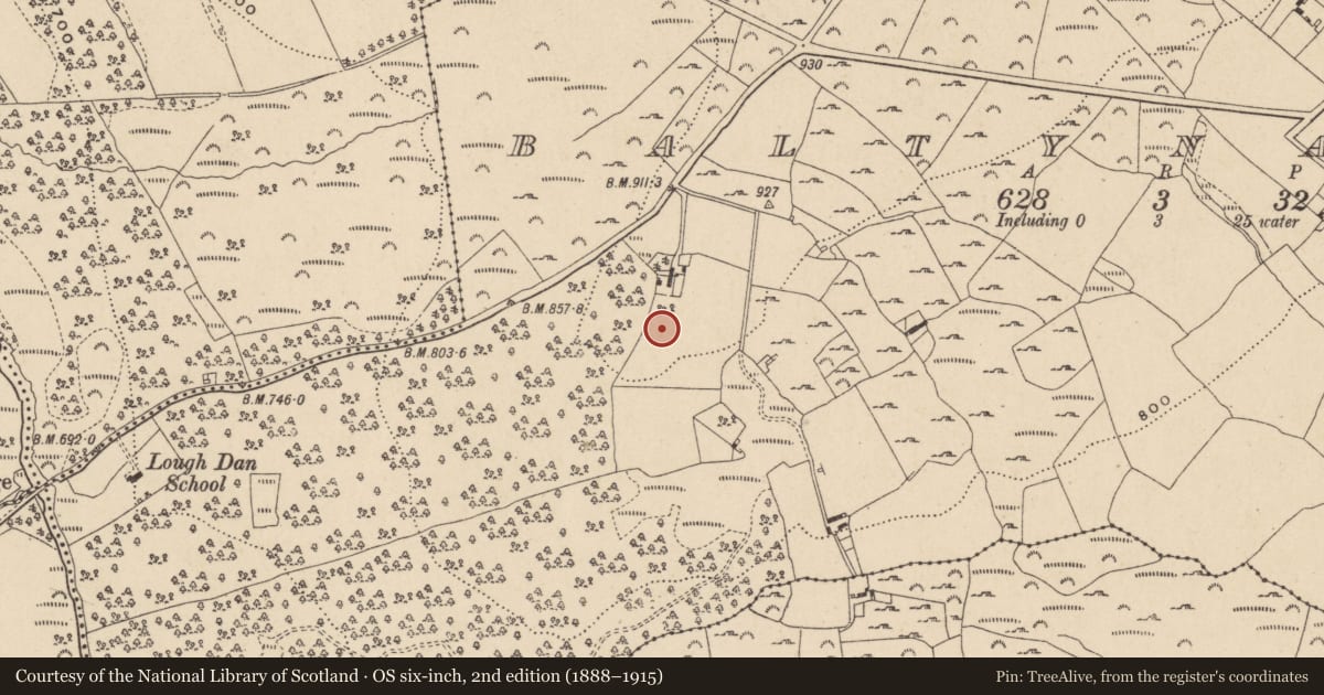 Ordnance Survey six-inch map, 2nd edition (1888–1915) covering the location of Bullaun stone, Baltynanima, County Wicklow, with a pin at the register's coordinates
