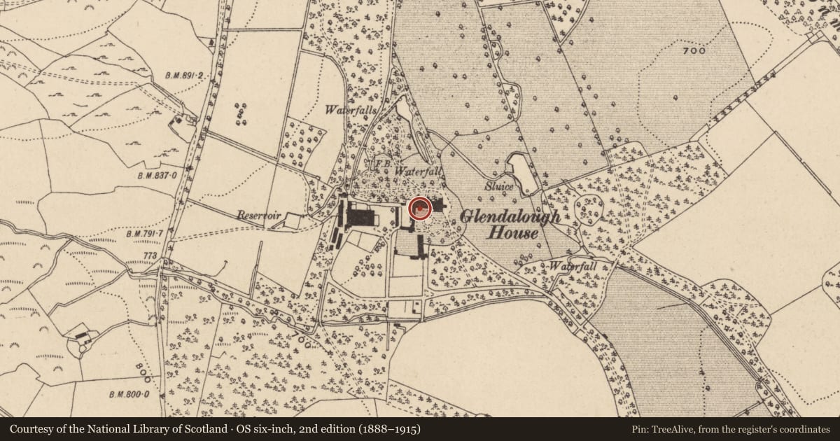 Ordnance Survey six-inch map, 2nd edition (1888–1915) covering the location of Bullaun stone (present location), Drummin, County Wicklow, with a pin at the register's coordinates