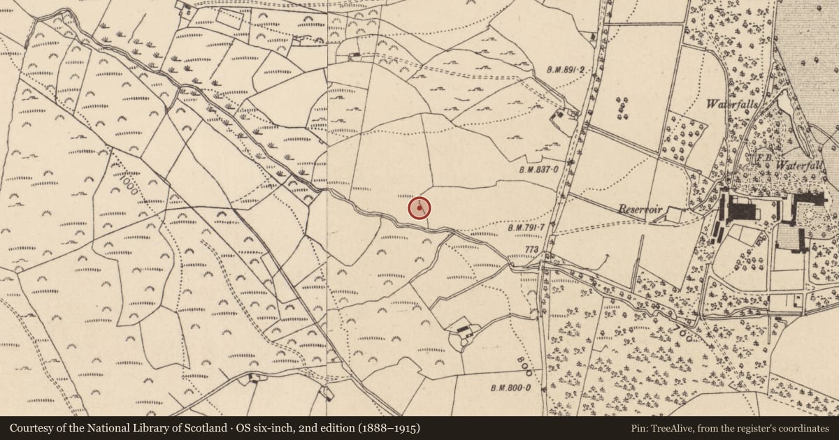 Ordnance Survey six-inch map, 2nd edition (1888–1915) covering the location of Bullaun stone, Drummin, County Wicklow, with a pin at the register's coordinates