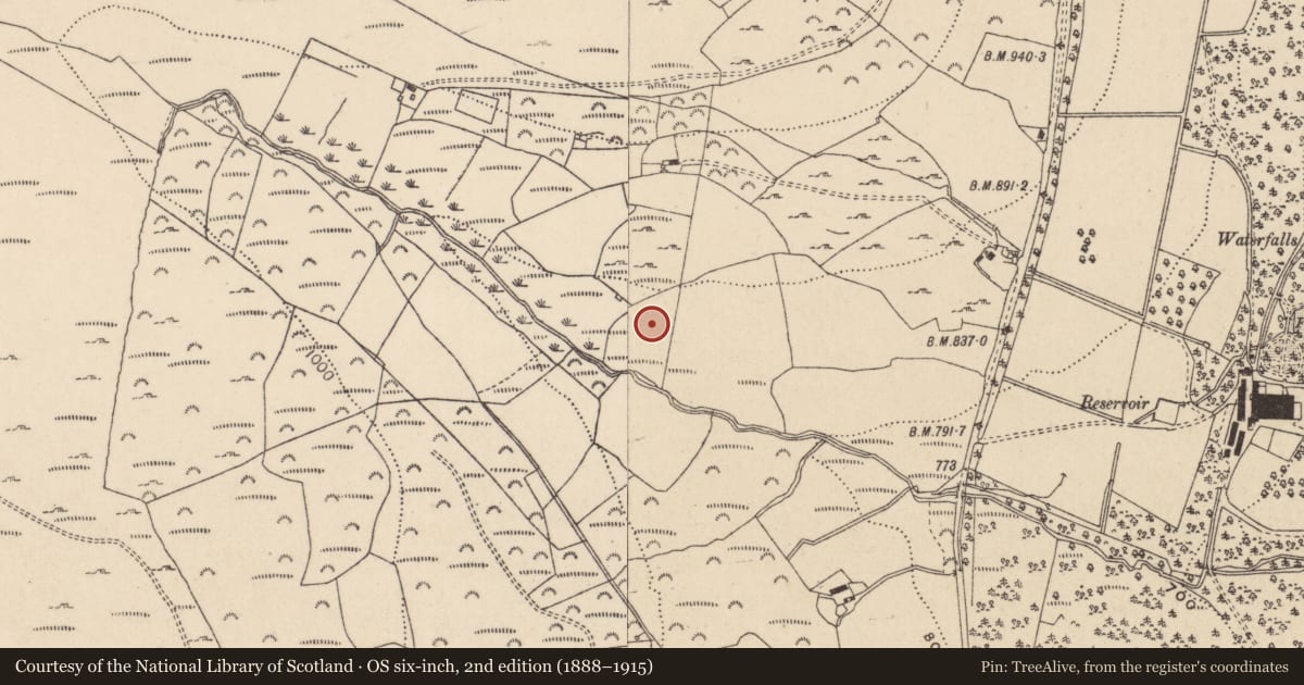 Ordnance Survey six-inch map, 2nd edition (1888–1915) covering the location of Rock art, Drummin, County Wicklow, with a pin at the register's coordinates