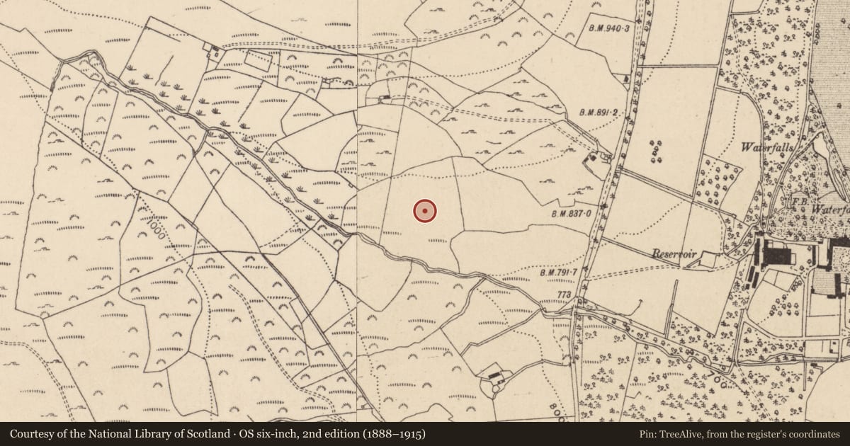 Ordnance Survey six-inch map, 2nd edition (1888–1915) covering the location of Rock art, Drummin, County Wicklow, with a pin at the register's coordinates