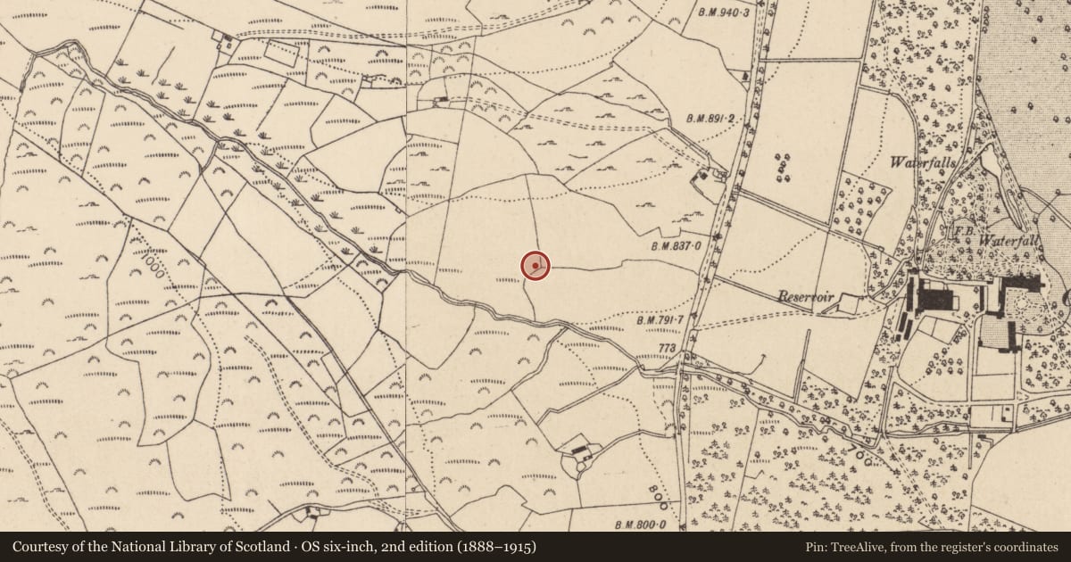 Ordnance Survey six-inch map, 2nd edition (1888–1915) covering the location of Rock art, Drummin, County Wicklow, with a pin at the register's coordinates