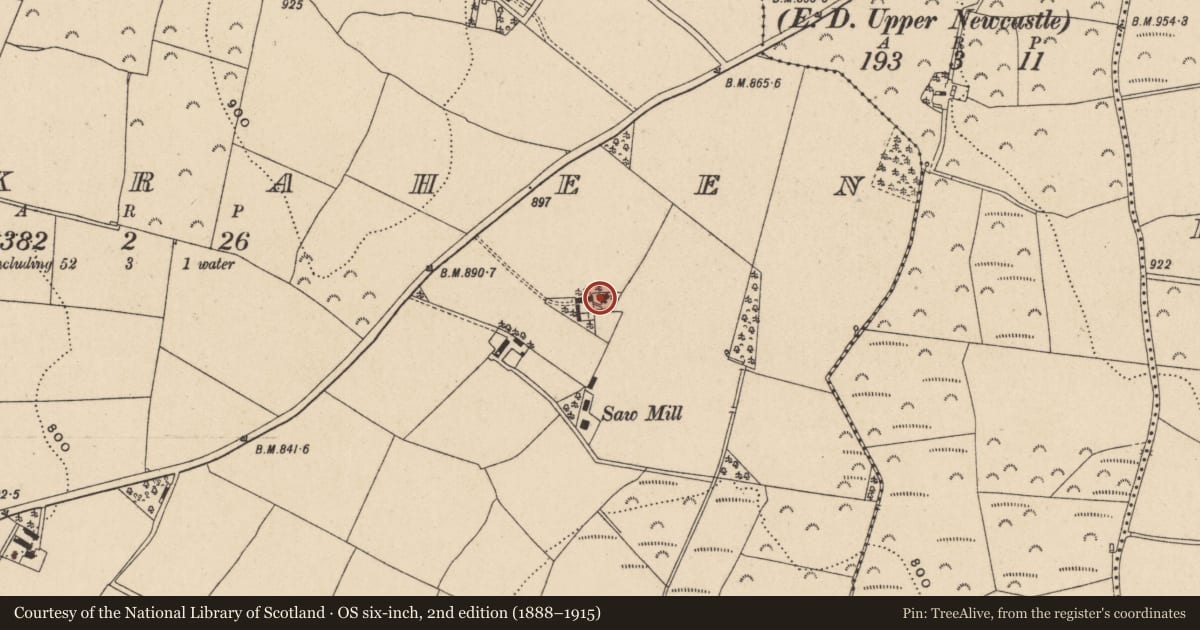 Ordnance Survey six-inch map, 2nd edition (1888–1915) covering the location of Bullaun stone, Knockraheen, County Wicklow, with a pin at the register's coordinates