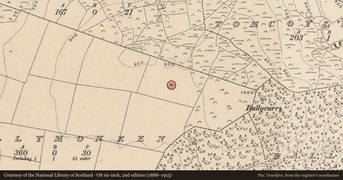 Ordnance Survey six-inch map, 2nd edition (1888–1915) covering the location of Cairn - unclassified, Ballymoneen, County Wicklow, with a pin at the register's coordinates