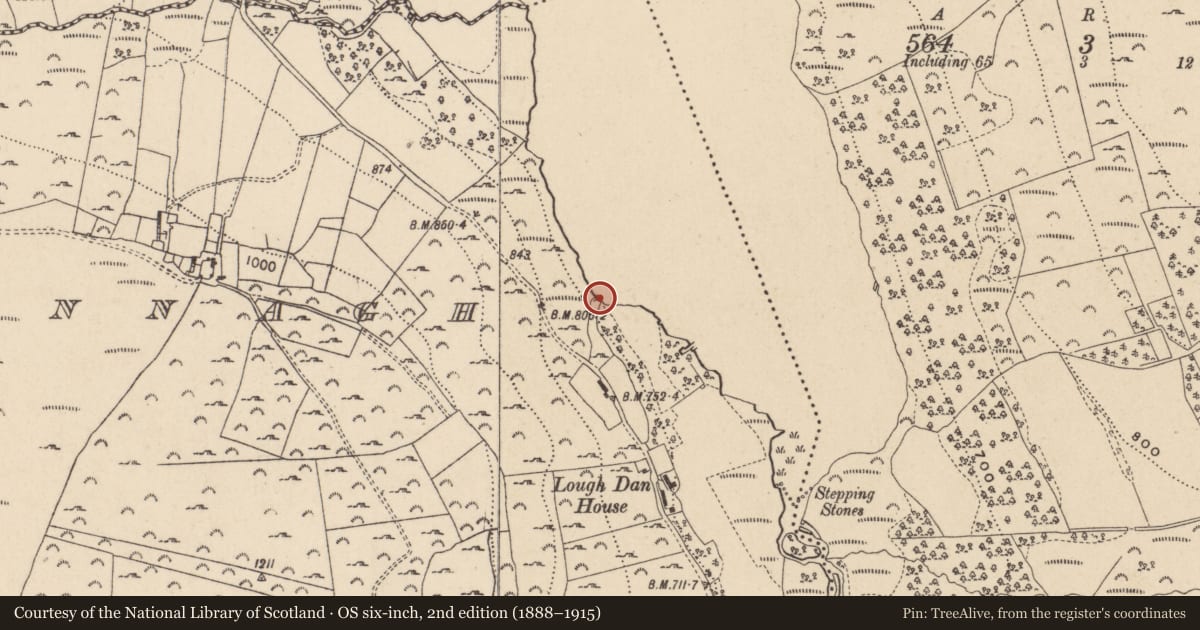 Ordnance Survey six-inch map, 2nd edition (1888–1915) covering the location of Crannog, Carrigeenshinnagh, County Wicklow, with a pin at the register's coordinates