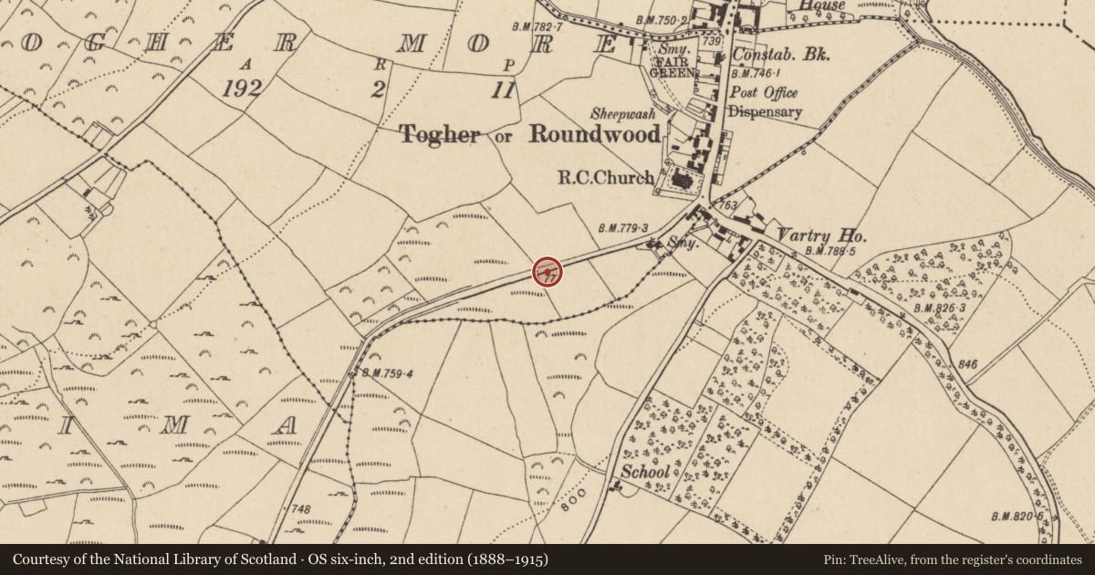 Ordnance Survey six-inch map, 2nd edition (1888–1915) covering the location of Rock art (present location), Togher More, County Wicklow, with a pin at the register's coordinates