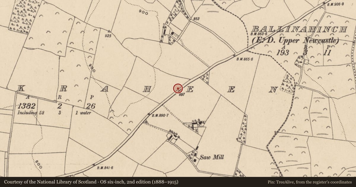 Ordnance Survey six-inch map, 2nd edition (1888–1915) covering the location of Rock art (present location), Knockraheen, County Wicklow, with a pin at the register's coordinates