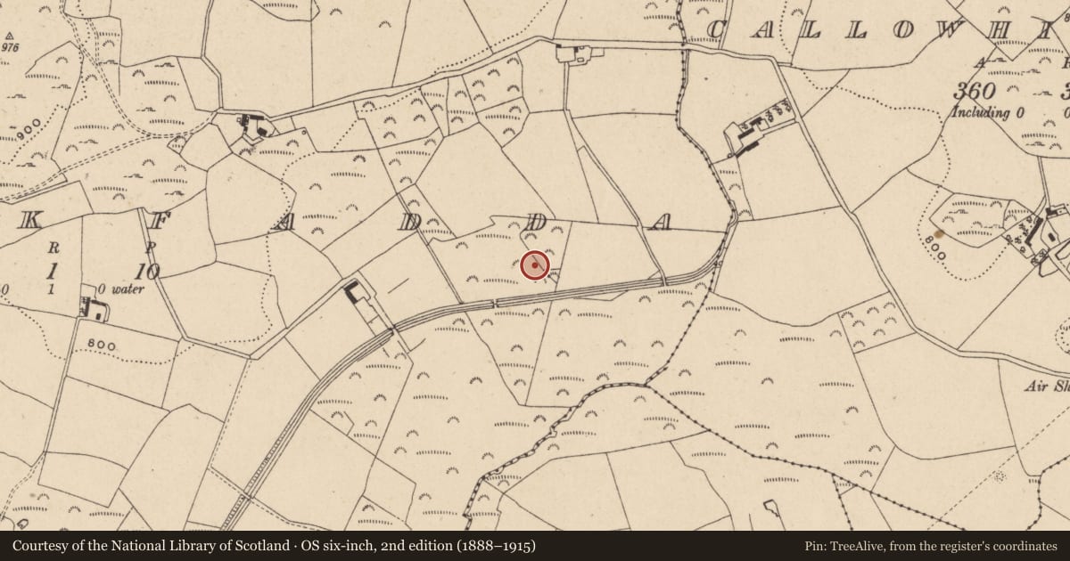 Ordnance Survey six-inch map, 2nd edition (1888–1915) covering the location of Mound, Knockfadda, County Wicklow, with a pin at the register's coordinates