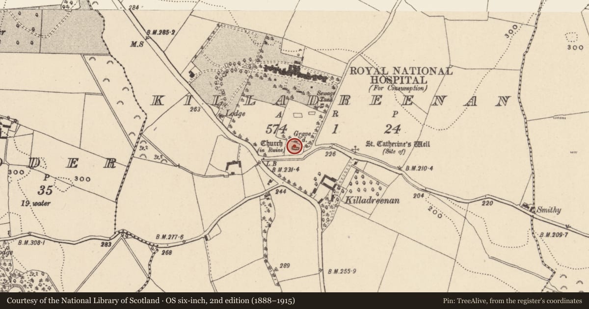 Ordnance Survey six-inch map, 2nd edition (1888–1915) covering the location of Cross, Killadreenan, County Wicklow, with a pin at the register's coordinates