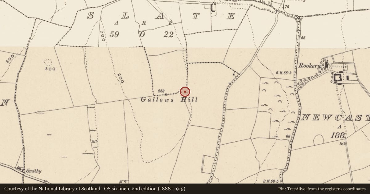 Ordnance Survey six-inch map, 2nd edition (1888–1915) covering the location of Burial, Newcastle Upper, County Wicklow, with a pin at the register's coordinates