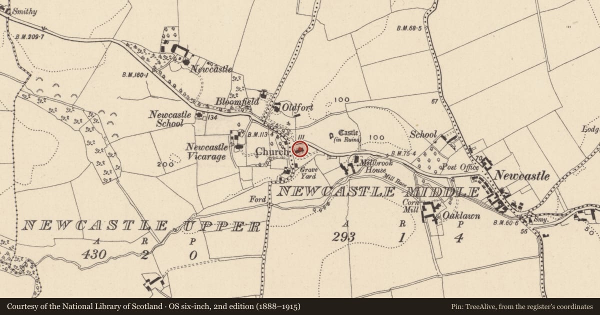 Ordnance Survey six-inch map, 2nd edition (1888–1915) covering the location of Church, Newcastle Middle, County Wicklow, with a pin at the register's coordinates